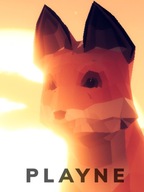 PLAYNE The Meditation Game Steam KOD KLUCZ PC