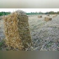 SŁOMA KOSTKA ŚWIEŻA ŚCIÓŁKA DO OGRODU POD TRUSKAWKI NA KOMPOST XXL