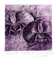"Orchidee III" akwaforta, akwatinta, 10x10/20x20 cm