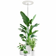 YUYMIKA AA-720 Lampa do roślin 72 LED | pełne spektrum | timer 3- tryby