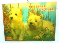 Stara Reklama OZPC BRZEG Mieszanka Opolska, PRL