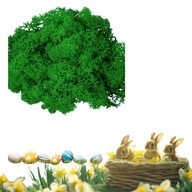 MECH CHROBOTEK dekoracyjny ciemno zielony naturalny reniferowy fiński 30g