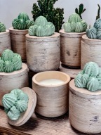 KAKTUS GLOW S – świeca sojowa w pojemniku z kaktusem Na prezent