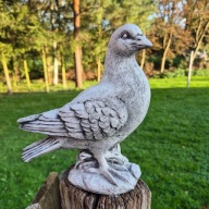 Gołąb figura Betonowa 3kg 24cm Figura ogrodowa, dekoracja, ozdoba z betonu