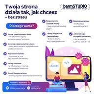 PROFESJONALNA STRONA INTERNETOWA WWW | Sklep | SEO | Teksty | Grafika