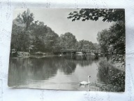 BYTOM PARK STAW