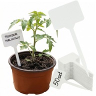 TABLICZKI ETYKIETY DO OPISYWANIA ROŚLIN SADZONEK ZNACZNIKI BIAŁE 50szt