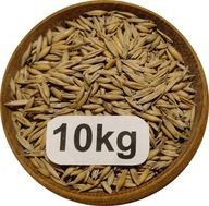 Owies Ozimy, Biały, Od Rolnika 10kg, 2025r