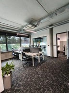 Biurowiec, Katowice, 169 m²