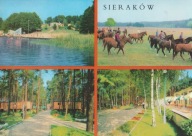 SIERAKÓW - OŚRODEK WYPOCZYNKOWY - PAŃSTWOWE STADO OGIERÓW - KOŃ - KONIE