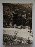 BESKID ŚLĄSKI. SERPENTYNY NA RÓWNICY. POCZTÓWKA.