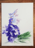 KWIATY (82) dla 884 Skubalskich