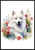 A2 PLAKAT PIES W KWIATACH RASA SAMOJED