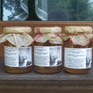 SYROP Z MŁODYCH PĘDÓW SOSNY I LIŚCI POKRZYWY 450 ML ZGODNY Z NATURĄ DOMOWY