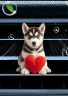 Zapach 2D PIESEK do samochodu na kratkę nawiewu WALENTYNKI