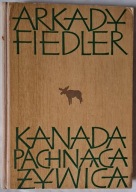 Kanada pachnąca żywicą