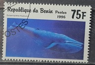 Ryby (kas) - luzak - do uzupełnień 13/7