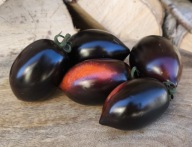 Pomidor czarny Midnight Roma kolekcjonerskie nasiona pomidorów