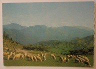 VELKA FATRA. Pohlad na hrabene CZECHOSŁOWACJA