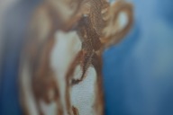 Hanna Czarny " Czytająca" olej na płótnie 40 x 50