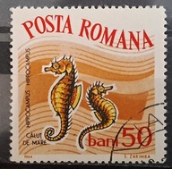 Ryby (kas) - luzak - do uzupełnień 13/6