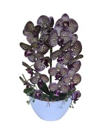 Sztuczny Storczyk gumowy w Doniczce Dwa Pędy Orchidea Jak Żywa fioletowy