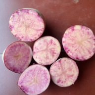 ZDROWE RÓŻOWE CZERWONE ZIEMNIAKI -MULBERRY BEAUTY 2 KG