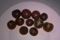 Pomidor Aroma star dawna niemiecka odmiana nasiona kolekcjonerskie