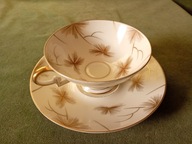 Piękna porcelanowa filiżanka ze spodkiem - Arzberg Bawaria