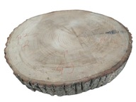 Plaster drewna 49cm duży Piękny kora Suchy Solidny DIY Plastry Wybór sztuki