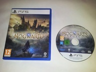 Wymaga internetu --- Dziedzictwo Hogwartu --- PS5 --- PL napisy --- Sprawna