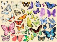Puzzle CE Tradycyjne 1000 elementów Motyle kolorowe
