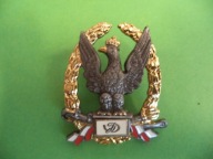 Wzorowy Dowódca wz. 99 numerowana 2006 rok