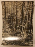 POJEZIERZE MAZURSKIE. Źródła Łyny - rezerwat przyrody, NAKŁAD 2000 SZTUK