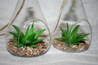 ROŚLINA OZDOBNA W SZKLE SUKULENT DEKORACJA WISZĄCA KOMPLET 2 SZTUKI
