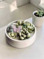 Duża Świeca bezzapachowa z Kaktusami i Motylkiem Na prezent