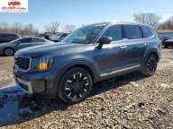 Kia Telluride Sx-Prestige 2024 3.8 Benzyna 291KM