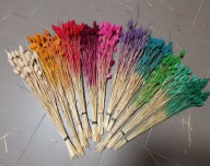 Trawy Mozga Kanar naturalna susz suszona trawa bukiet kolory mix na palmy