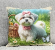 Poduszka 40/40cm Maltańczyk Maltese