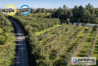 Działka, Subkowy, Subkowy, Tczewski, 8814 m²