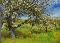 Kwitnący sad" obraz olejny na płótnie 30x40cm , oryginał Garncarek Al,,,