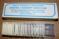 DRZEWA I KRZEWY OWOCOWE SLAJDY Z MAGAZYNKIEM