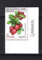 Białoruś 2025, zn. CIĘTY, Dzika Przyroda Białorusi, flora, borówka czerwona