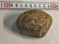 Skamieliny, minerały, koralowce