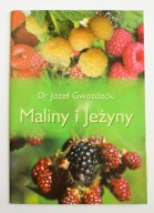 Maliny i jeżyny, Józef Gwozdecki