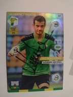 Karta panini autograf Górnik Łęczna sezon 15/16 Nikitović Ulubieńcy Fanów
