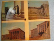 POCZTÓWKA DŹWIĘKOWA - RODOWICZ - DZIĘCIOŁ I DZIEWCZYNA -NOWAKOWSKI -SAMOTNA