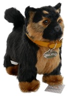 INTERAKTYWNY PIESEK reaguje na dotyk CHODZI SZCZEKA OWCZAREK MASKOTKA