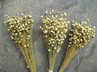 Len naturalny suszony dekoracje zboże susz kwiaty kompozycje