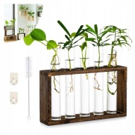 Nowoczesny Stojak do rozmnażania roślin, 5 probówek, wazon, na sadzonki